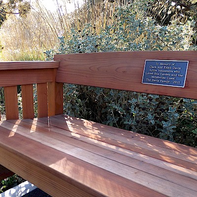 Honoring Loved Ones With A Memorial Bench Support Mcbg Inc