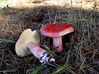 blog image
