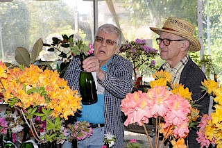 Judges Richard & Parker | Photo by Dick Jones, Noyo Chapter American Rhododendron Society gallery image