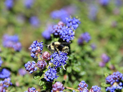 blog image