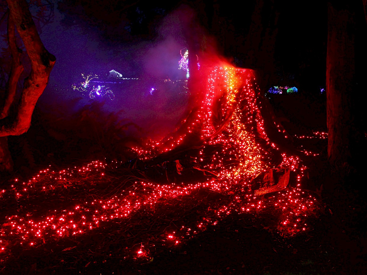 Slideshow image