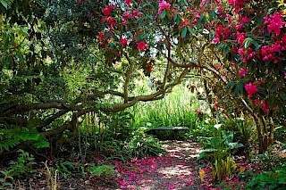 Spring 2007 First Place LANDSCAPE - Roo Harris - Little River, CA gallery image