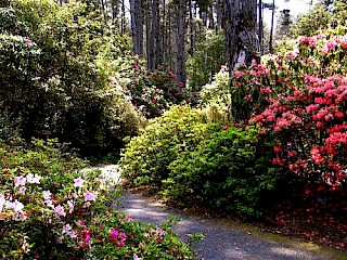 Spring 2007 Third Place LANDSCAPE - Pam Brekas - Gardnerville, NV gallery image