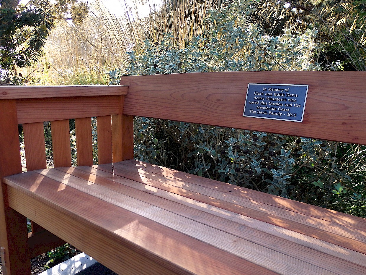 Honoring Loved Es With A Memorial Bench Support MCBG