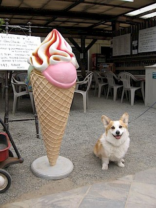 Dylan and Ice Cream Cone gallery image