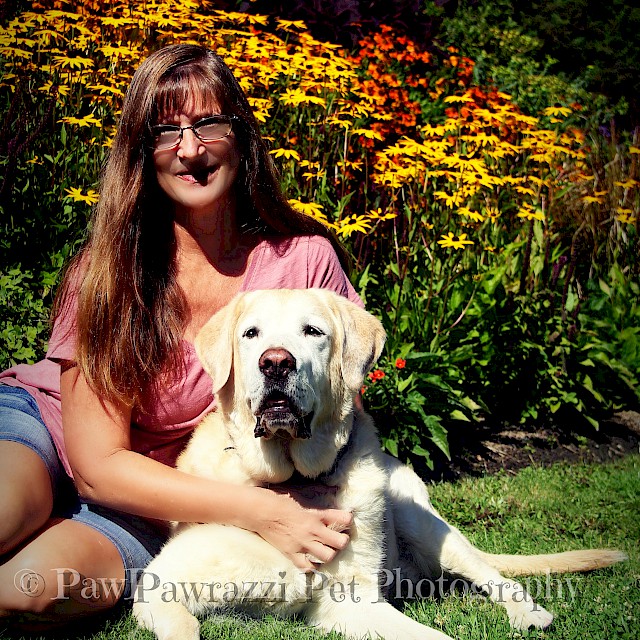 National Dog Day 2017 gallery image