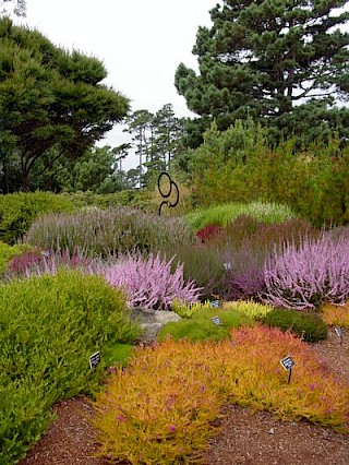 Heather Garden 3 gallery image