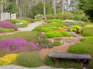 Heather Garden 1 gallery image