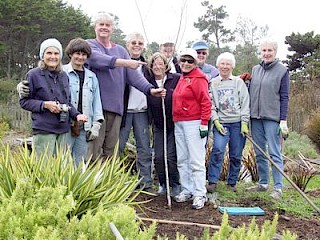 Perennial Garden Volunteers (2008) gallery image