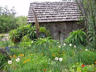 Vegetable Garden shed by Marilynn Boosinger gallery image