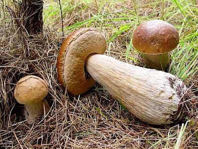 blog image