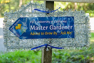 Master Gardener Graduation 2016 | Photo by Don Roberts gallery image