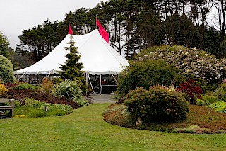 The elegant tent featured a cascade of vibrant rhododendrons, raffles, a silent auction, people