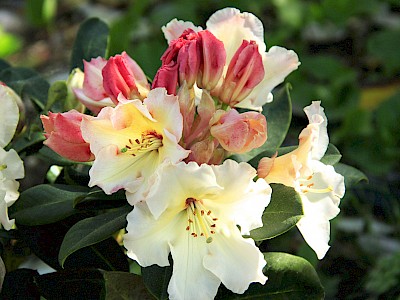 blog image