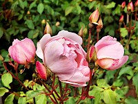 blog image