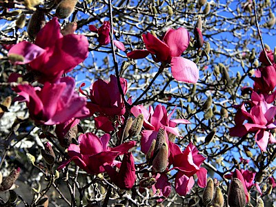blog image