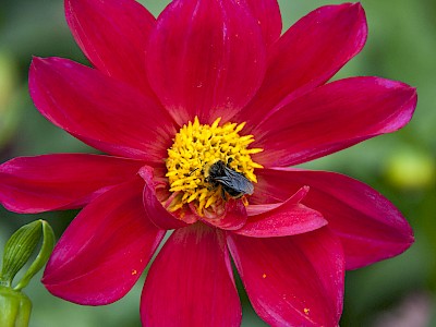 blog image