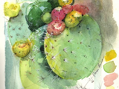 blog image