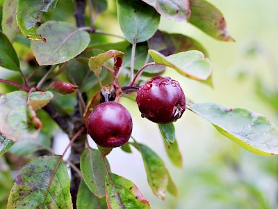 blog image