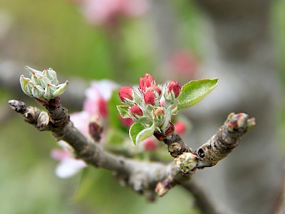 blog image