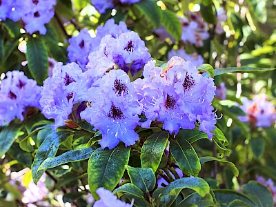 blog image