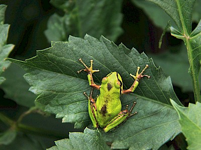 blog image