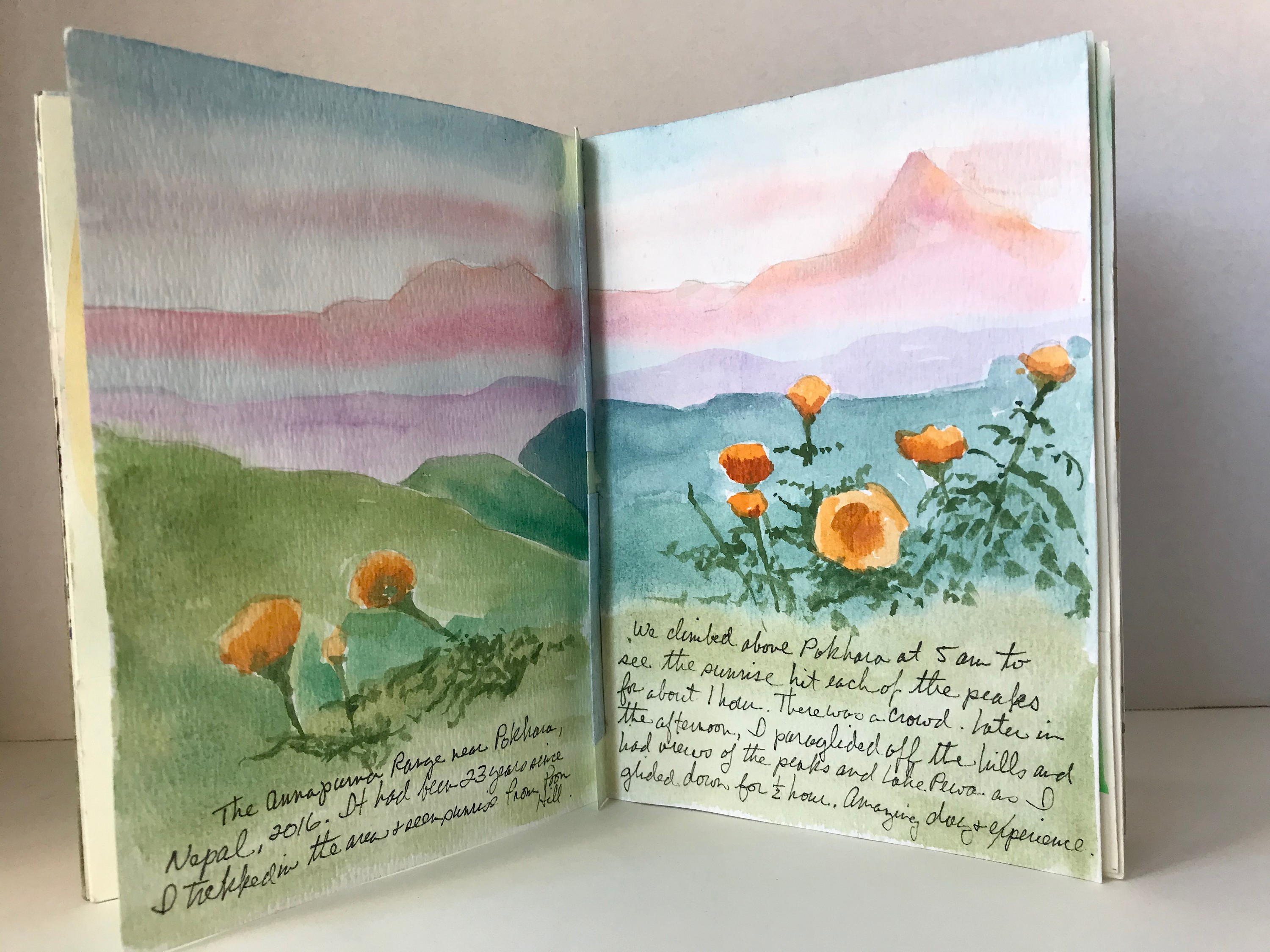 Nature's Sketchbook Journals 8