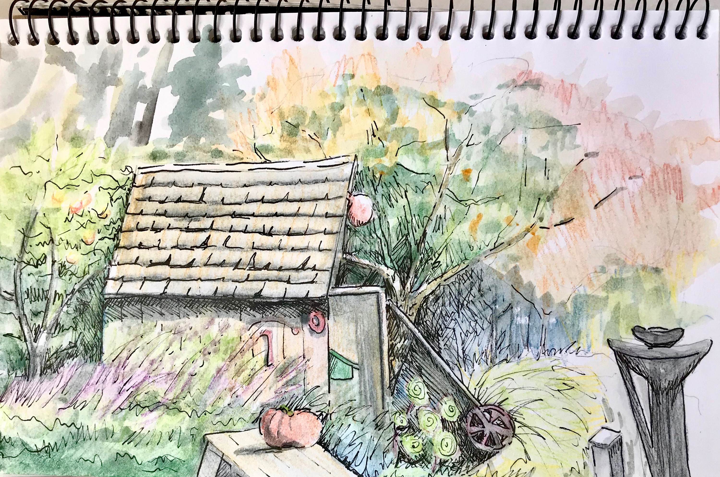 Nature's Sketchbook 14 Journals – Cottage Arts