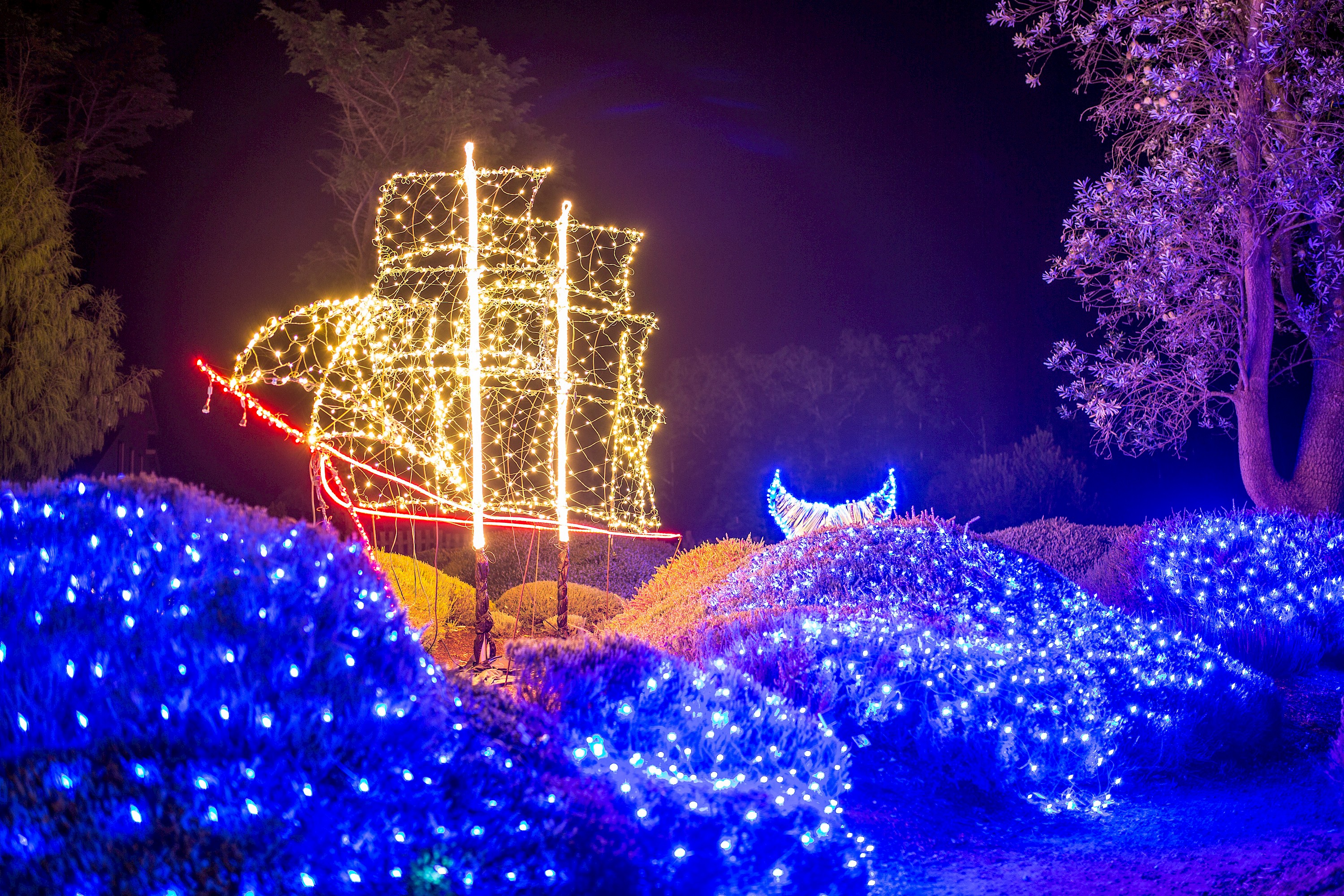 Botanical Gardens Christmas Lights 2022 Festival Of Lights 2021 - Past Events - Mcbg Corp. 2022 | Fort Bragg,  California