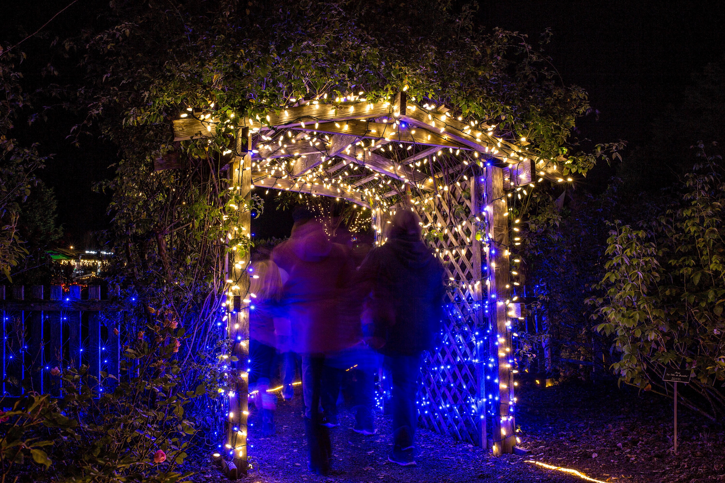 Fort Pierce Botanical Gardens Christmas Lights 2022 Festival Of Lights 2021 - Past Events - Mcbg Corp. 2022 | Fort Bragg,  California