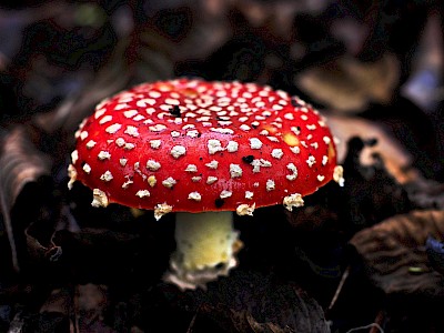 blog image