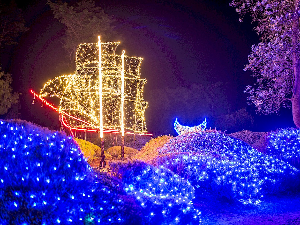 Slideshow image