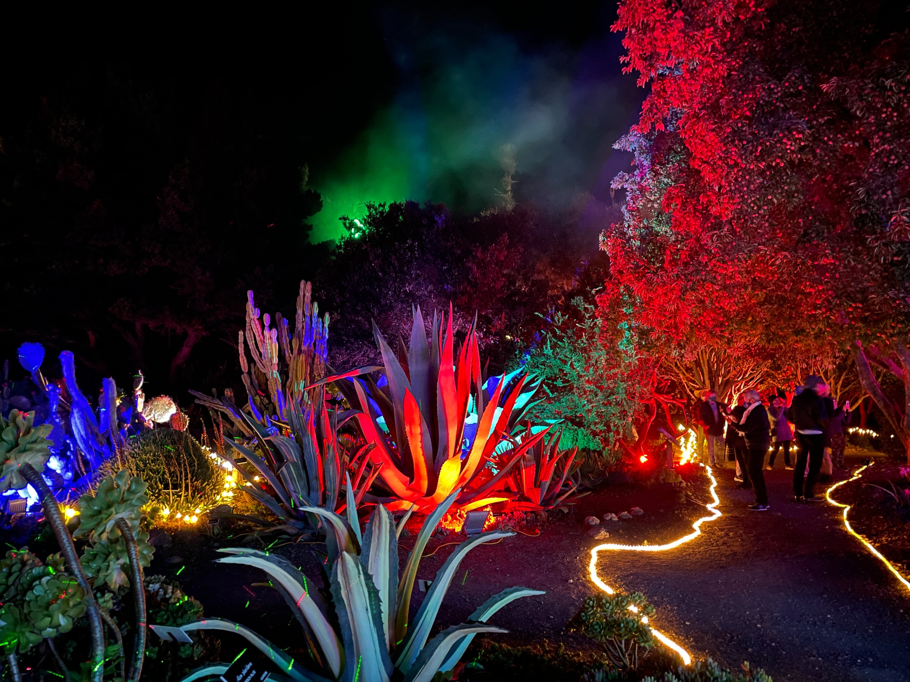 Festival of Lights 2022 - Past Events - MCBG Corp. 2023 | Fort Bragg,  California