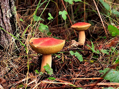 blog image