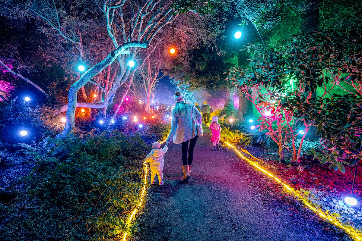 Festival of Lights 2024 Events MCBG Corp. 2024 Fort Bragg, California