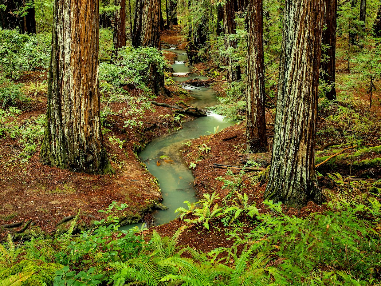 Slideshow image